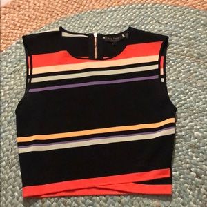 Ted Baker Color Block Crop Top 3